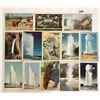 Image 3 : Yellowstone National Park Postcards 200+