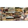 Image 4 : Yellowstone National Park Postcards 200+