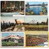 Image 1 : Washington State Sorted 375+ Postcards