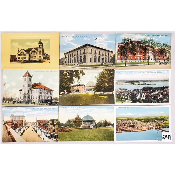 Washington State Sorted 275+ Postcards