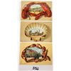Image 2 : Shellborder & Lobster Border Postcards 6 Cards