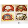 Image 1 : California & Massachusetts Shellborder & Lobsterborder Postcards 9