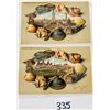 Image 2 : Shellborder New York 5 Postcards