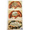 Image 1 : New Jersey Shellborder - Fishborder - Lobsterborder 9 Postcards