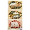 Image 2 : New Jersey Shellborder - Fishborder - Lobsterborder 9 Postcards