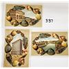 Image 2 : Shellborder Virginia Postcards 6 Cards