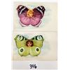 Image 1 : Fantasy Butterfly Face 4 Postcards