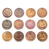 Image 2 : 1901-1908 Nicer Details Indian Cent Collection [12