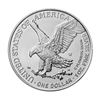 Image 3 : American Eagle 2023-W BURNISHED 1oz Sil UNC