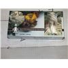 Image 1 : 1 Case Of Polyethylene Gloves....Size Large