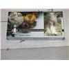 Image 1 : 1 Case Of Polyethylene Gloves....Size Large