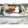 Image 1 : 1 Case Of Polyethylene Gloves....Size XL