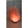 Image 3 : Salt Lamp 11.5" - works 