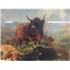 Image 3 : Oak Framed Picture -Scottish Highlander Cattle 27" x 32" 