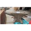 Image 1 : Anvil 125lb - approximately