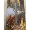 Image 2 : Monster Buck Thermometer 8" x 27" 