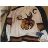 Image 1 : Autographed Nolan Baumgartner Manitoba Moose Jersey