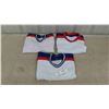 Image 1 : 3 Blank Jets Jerseys - no size shown