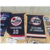 Image 2 : Vintage Winnipeg Jets Lot ; 1980s Pom Poms, Hall of Fame Banners, Jets Stream 