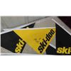 Image 2 : Ski- Doo Brochures, 50 year Anniversary Decals, Keychain, DVDs, Flags, plus more