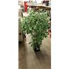 Image 2 : Artificial Tree 57'' Tall
