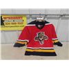 Image 1 : Florida Panthers Jersey Size in photo