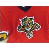 Image 2 : Florida Panthers Jersey Size in photo