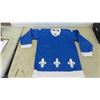 Image 1 : Quebec Nordiques Jersey Sz LG 