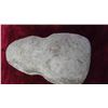 Image 4 : Primitive Hammer Head approx. 7" long