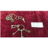 Image 1 : Old Keys Including 6 Skeleton