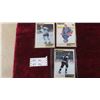Image 1 : Pinnacle Beehives; Brett Hull, Mats Sundin, Luc Robitaille