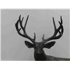 Image 2 : Wind River Muley Metal Sculpture 15" x 20" Limited Edition by T. O'Brien Signed