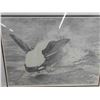 Image 2 : Framed Limited Edition Print Signed Dawn Apple by Daine of the Orca 26" x 32" 