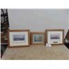 Image 1 : 3 WPG Framed Pictures ; 2 Norwood Bridge, Assiniboine Park