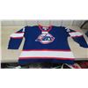 Image 1 : Winnipeg Jets Jersey sz 56 Selanne # 13