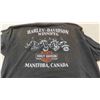Image 8 : 9 T-Shirts ; Harley Davidson, Blue Bombers, plus others : Sz L - XL 