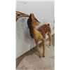 Image 2 : Bambi The Deer with a Coat of Pine Cones Standing 40" t x 41" L  