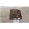 Image 1 : Bag of Pennies