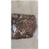 Image 2 : Bag of Pennies