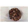 Image 3 : Bag of Pennies