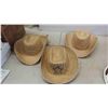 Image 2 : Cowboy Hats, Sombreros