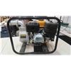 Image 3 : Western Gas Pump 6.5HP 