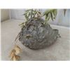 Image 2 : (Empty) Wasps Nest Approx. 1' High
