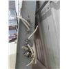 Image 3 : Panel Box 32'' x 15'' with 19 Breakers (15) 15amp, (2) 20amp, (2) 40amp