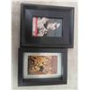 Image 2 : 3 Framed Pictures - CCR , Elvis, Janice Joplin - Largest is 23 1/2'' x 13 1/2'' 