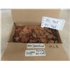 Image 1 : Box Full of Pennies USA + Canada 