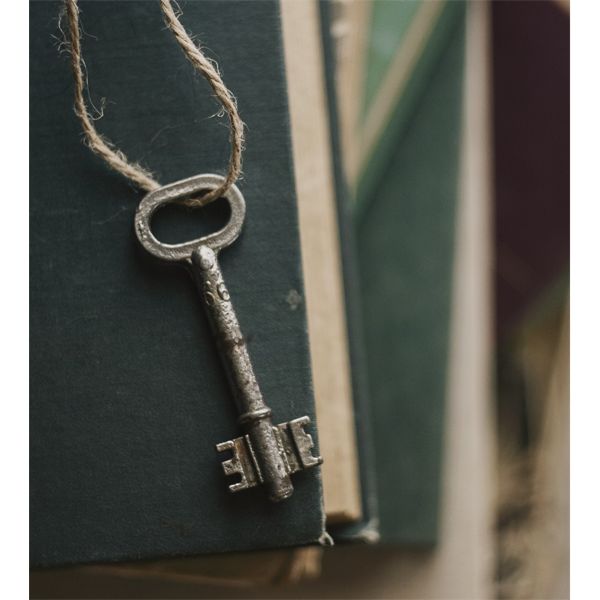 UNLOCK IMPORTANT DETAILS OVER IN THE OPENING LOTS.