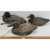 Image 1 : LOT OF 3 - MISC DECOY DUCKS