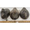 Image 2 : LOT OF 3 - MISC DECOY DUCKS
