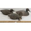 Image 3 : LOT OF 3 - MISC DECOY DUCKS